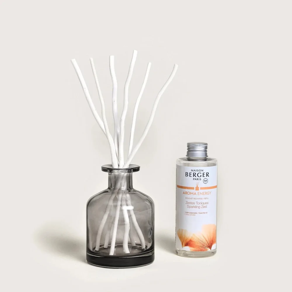 Mikado Perfumado Aroma Energy Maison Berger | Les aromes provence