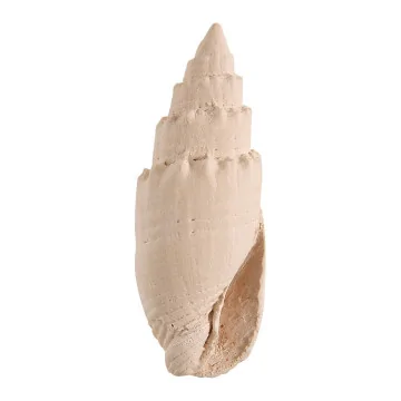 Neceser Mathilde M con adornos de Yeso y perfume de Hogar Perle de Coco | Les aromes provence
