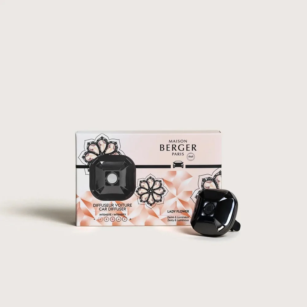Coche Maison Berger Eternity Gun Métal | Les aromes provence
