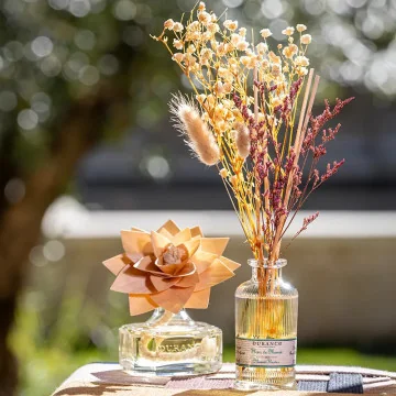 Mikado Flores Secas Durance Flor de monoï | Les Aromes Provence
