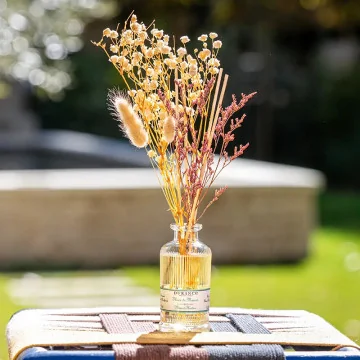 Mikado Flores Secas Durance Flor de monoï | Les Aromes Provence