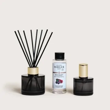 Dúo Mini Mikado & Perfume de Hogar Maison Berger  Celebration Oud Hypnotique| Les aromes provence