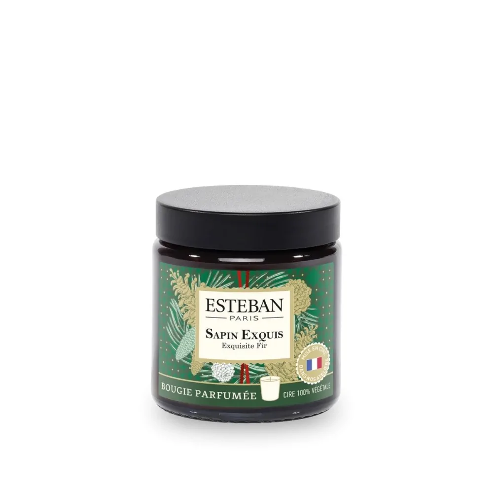 Vela Perfumada Sapin Exquis Esteban Paris 90gr