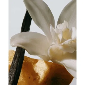 Mikado perfumado Cereria Mollá  Tabacco & Amber 100ml